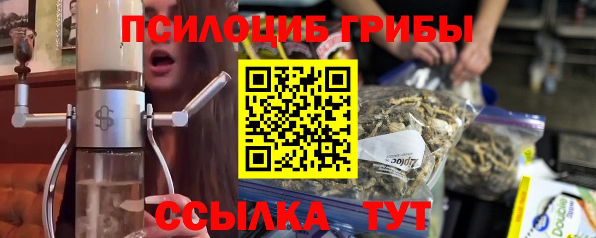 Дербент  Псилоцибиновые грибы Psilocybe  Вход с VPN 
